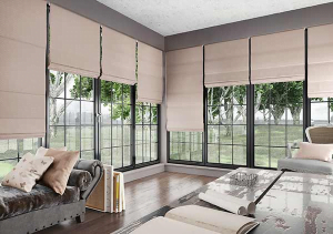 membersihkan roman blind